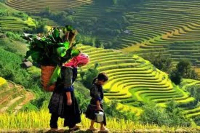 Vùng đất bốn mùa mây bên người (Nguồn: Internet) Vùng đất bốn mùa mây bên người (Nguồn: Internet)