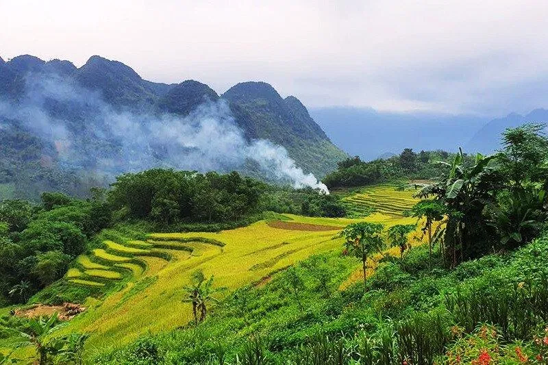 Pù Luông, Thanh Hóa (Ảnh: Internet) Pù Luông, Thanh Hóa (Ảnh: Internet)