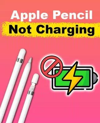 Cách sửa lỗi bút Apple pencil 2 không sạc được (Ảnh: Internet)