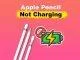 Cách sửa lỗi bút Apple pencil 2 không sạc được (Ảnh: Internet)