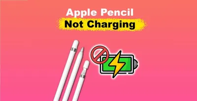Cách sửa lỗi bút Apple pencil 2 không sạc được (Ảnh: Internet)