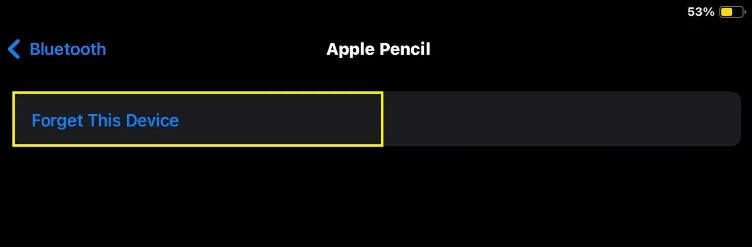 Cách sửa lỗi bút Apple pencil 2 không sạc được (Ảnh: Internet)