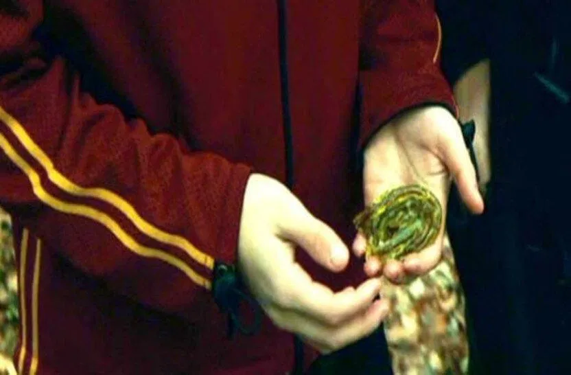Có nhiều thông tin thú vị bên lề vũ trụ Harry Potter (Ảnh: Internet)