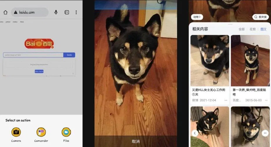 Tra ngược hình ảnh trên Baidu (Ảnh: Internet) Tra ngược hình ảnh trên Baidu (Ảnh: Internet)