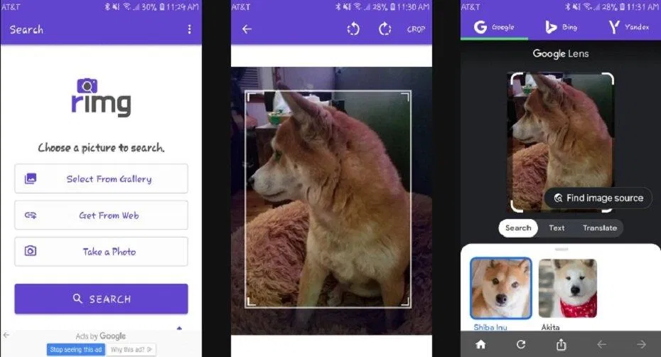 Tra ngược hình ảnh với ứng dụng rimg (Ảnh: Internet) Tra ngược hình ảnh với ứng dụng rimg (Ảnh: Internet)