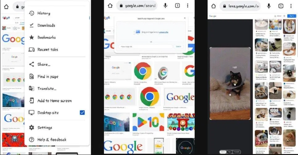 Tra ngược hình ảnh trên Google (Ảnh: Internet) Tra ngược hình ảnh trên Google (Ảnh: Internet)
