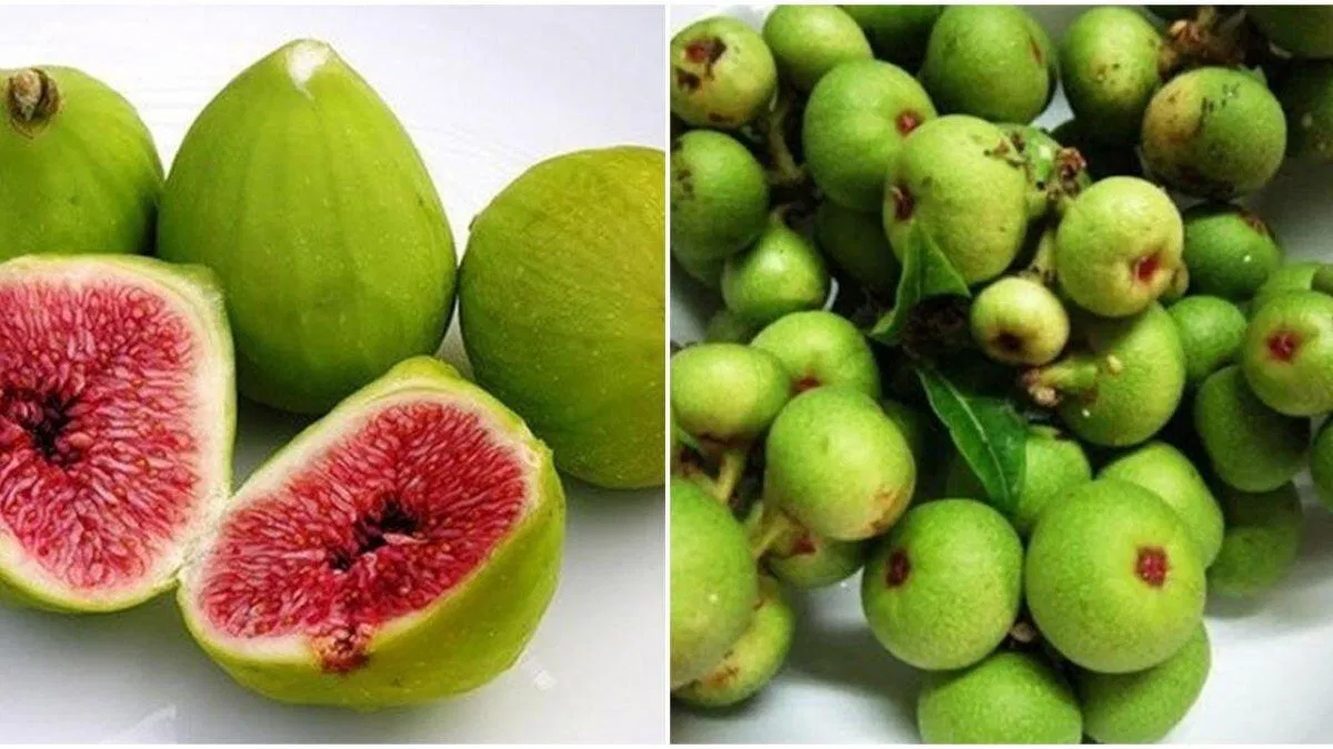 Trái sung có thể hỗ trợ chữa những bệnh nào? (ảnh: Internet)