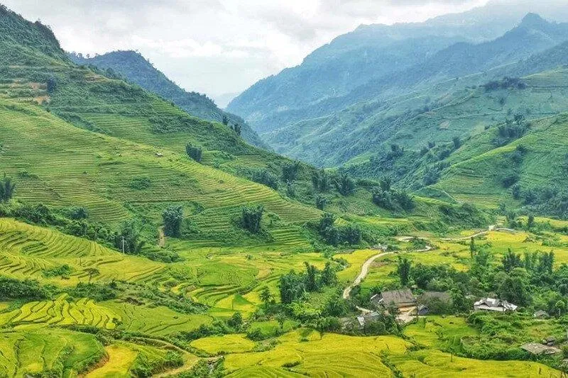 Y Tý (Ảnh: Internet) Y Tý (Ảnh: Internet)