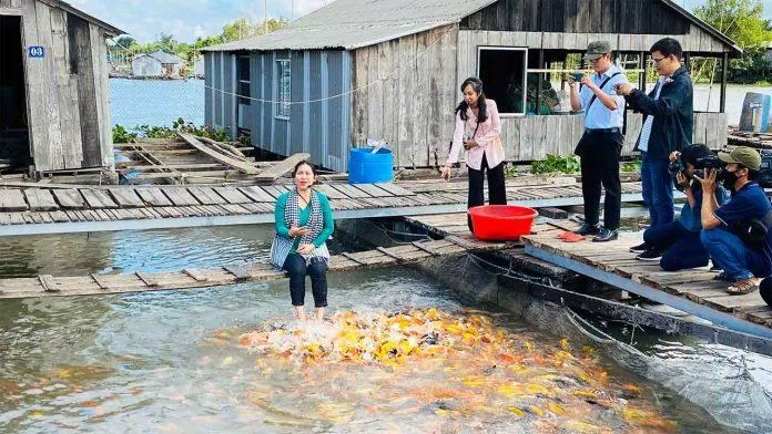 Bè nuôi cá tại Cồn Sơn. Ảnh:internet Bè nuôi cá tại Cồn Sơn. Ảnh:internet