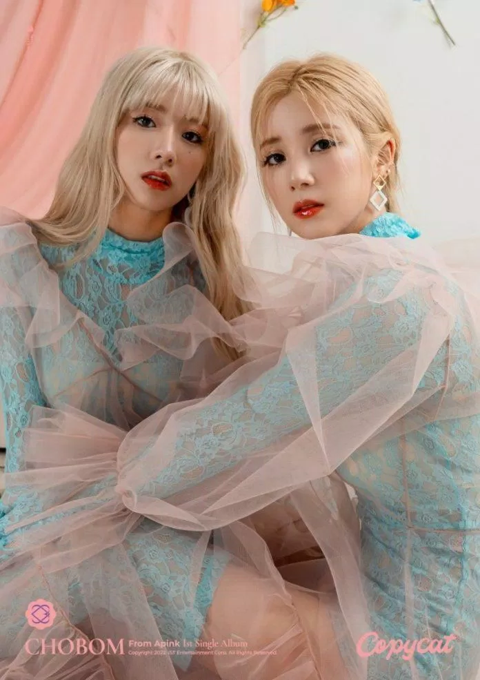 Chorong, Yoon Bomi (Ảnh: Internet)