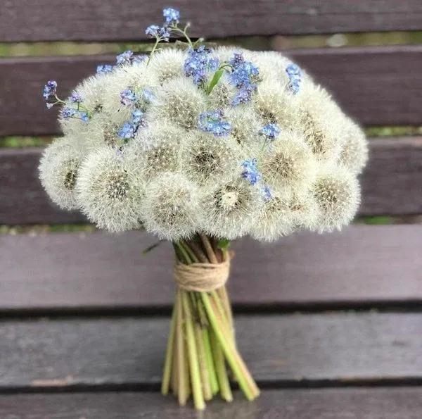 Ý nghĩa bó hoa cưới bồ công anh (Ảnh: Internet)