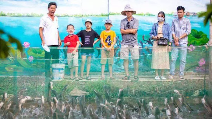 Điểm tham quan cá lóc bay ở Cồn Sơn. Ảnh: internet Điểm tham quan cá lóc bay ở Cồn Sơn. Ảnh: internet