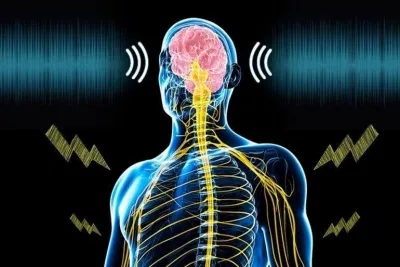 Âm thanh thực sự có tác động đến cơ thể chúng ta (Ảnh: Internet) Âm thanh thực sự có tác động đến cơ thể chúng ta (Ảnh: Internet)