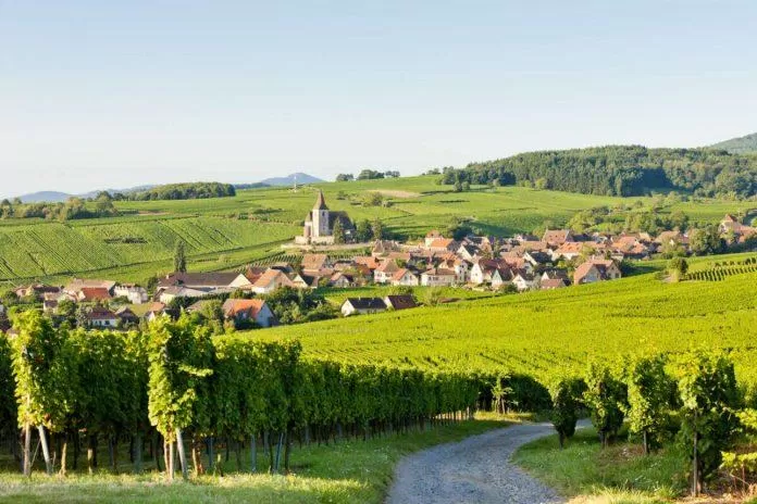 Alsace - Nơi giao thoa văn hóa và rượu vang (Nguồn: Internet)