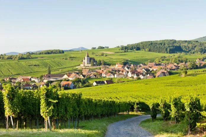 Alsace - Nơi giao thoa văn hóa và rượu vang (Nguồn: Internet) Alsace - Nơi giao thoa văn hóa và rượu vang (Nguồn: Internet)