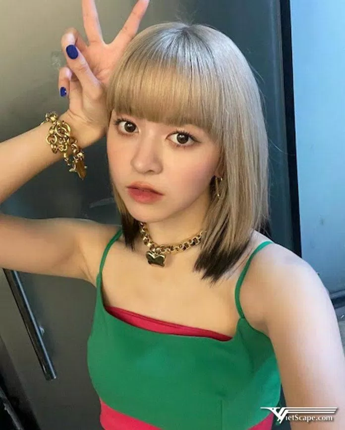 Lily cũng là một cô nàng lai giữa hai đất nước là Hàn và Úc.