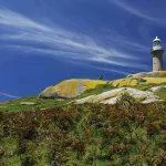 Đảo Montague, nép mình ngoài khơi New South Wales, Úc, là một hòn đảo quyến rũ và có ý nghĩa sinh thái, thu hút những người đam mê thiên nhiên cũng như những người yêu thích động vật hoang dã. (Nguồn: Internet)