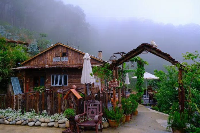 Tiệm cà phê Nhà Bên Rừng (ảnh: internet)