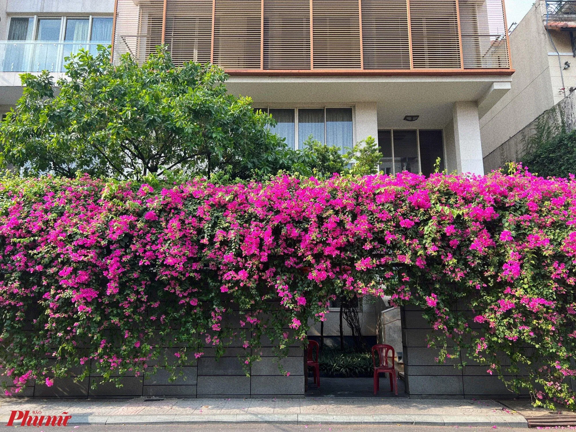 Ý nghĩa phong thủy hoa giấy