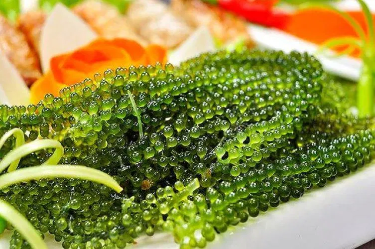 Rong nho - đặc sản Nha Trang ( Ảnh: Internet )
