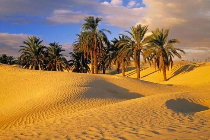 Sahara là sa mạc nổi tiếng nhất thế giới (Ảnh: Internet)