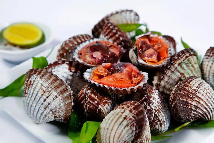 Sò huyết thuuyr triều - đặc sản chỉ có ở Nha Trang