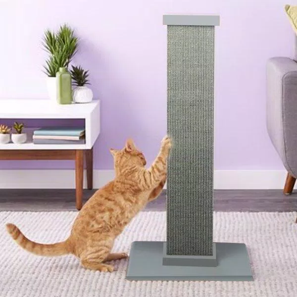 Mèo chơi đùa với trụ cào móng (Ảnh: Internet)