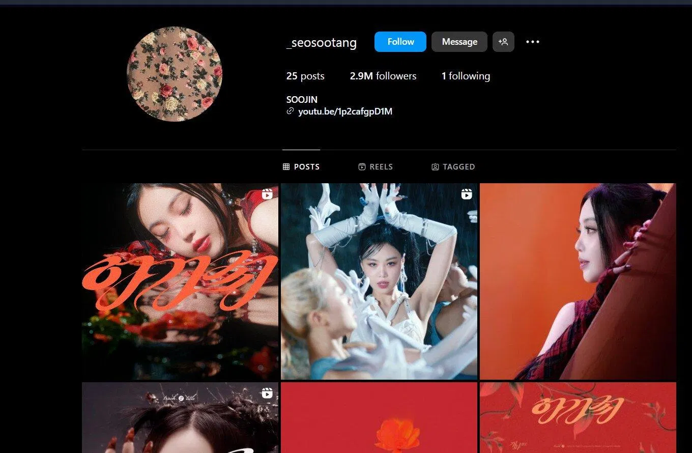 Instagram của Soojin hiện tại. (Ảnh : Internet)