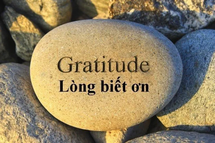 (Ảnh: Internet) (Ảnh: Internet)