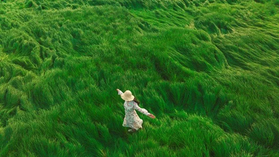 Cách sống độc thân vui vẻ: Một mình, không cô đơn (Ảnh: Internet)