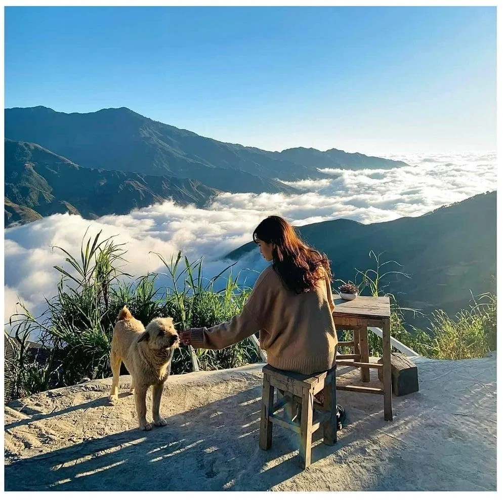 Cách sống độc thân vui vẻ: Một mình, không cô đơn (Ảnh: Internet)