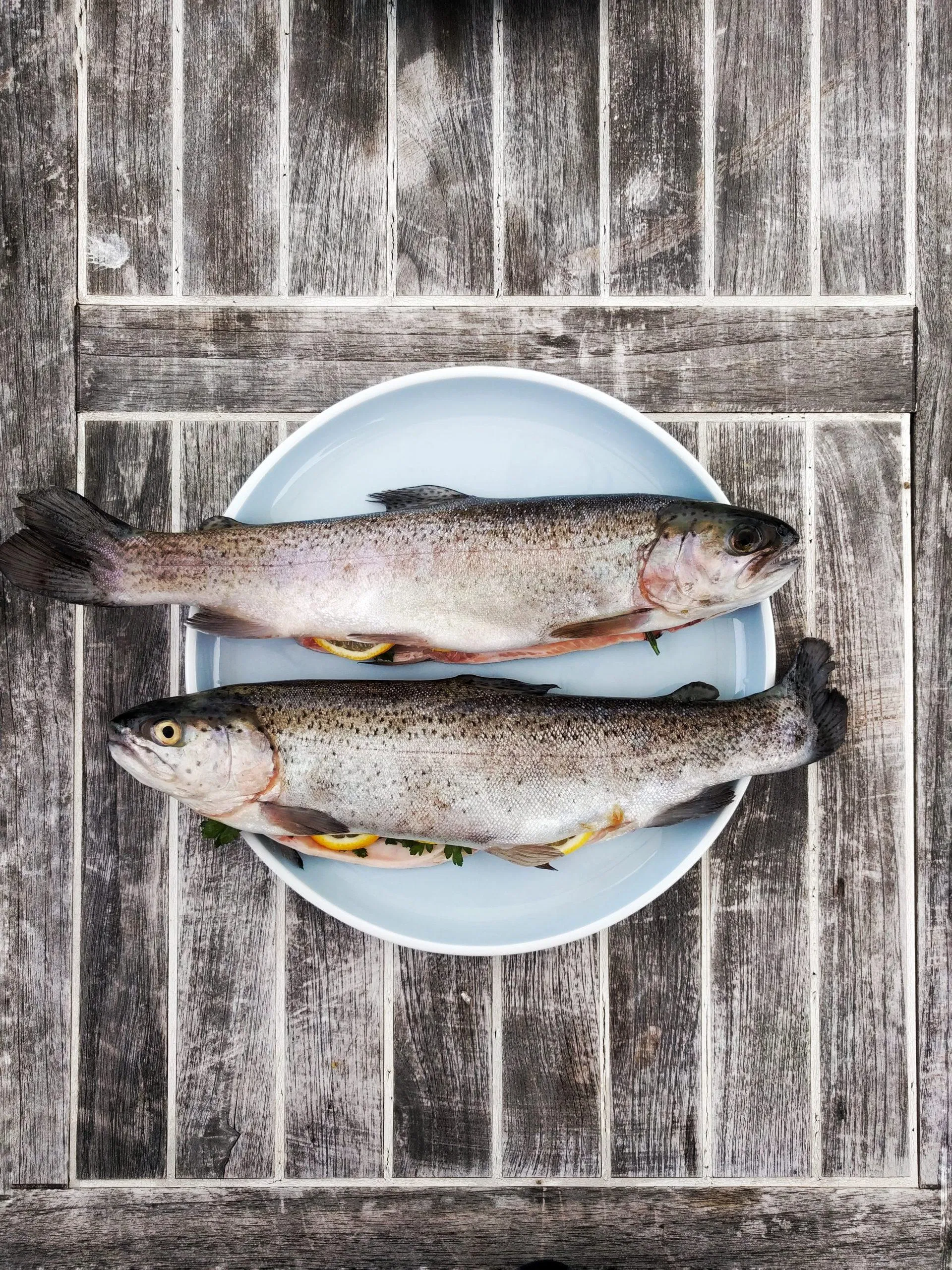 Cá có dầu có axit béo omega-3. (Nguồn: Internet)