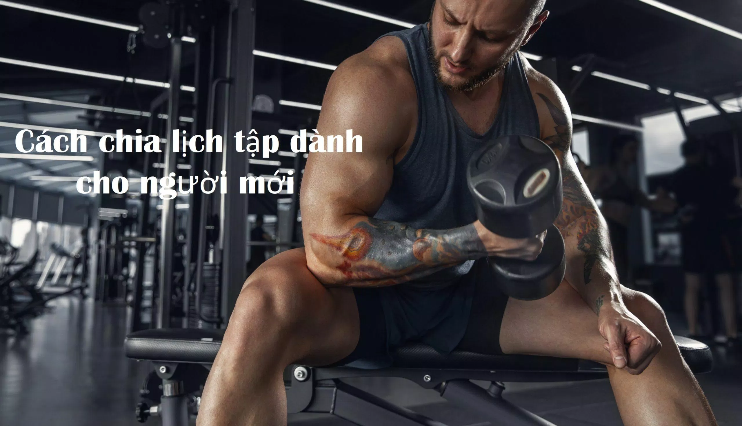 Tập gym giúp giảm mỡ (Ảnh: Internet)