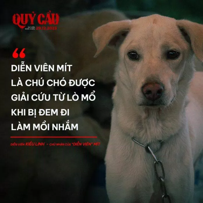 Nhân vật Mít chú cho trong phim Quỷ Cẩu.