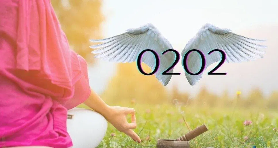 Số thiên thần 0202 (Ảnh: Internet) Số thiên thần 0202 (Ảnh: Internet)