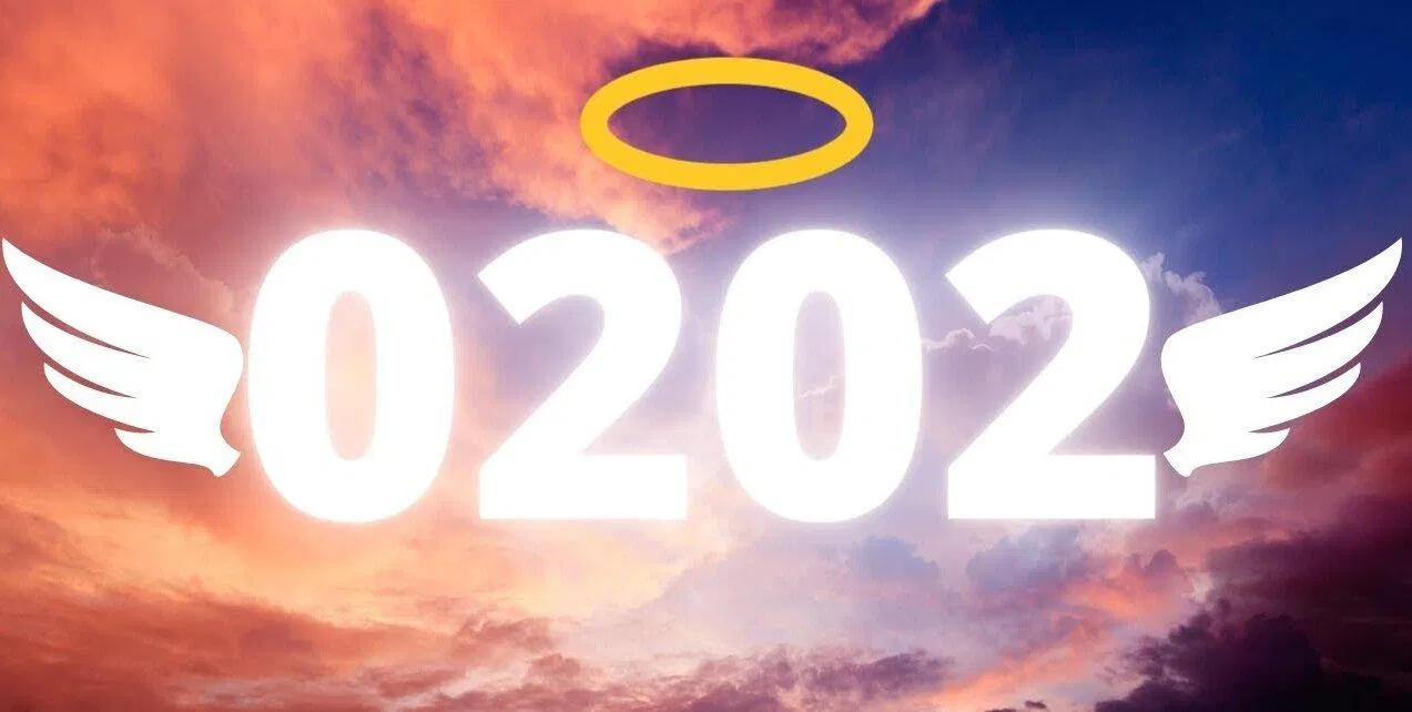 Số thiên thần 0202 (Ảnh: Internet) Số thiên thần 0202 (Ảnh: Internet)