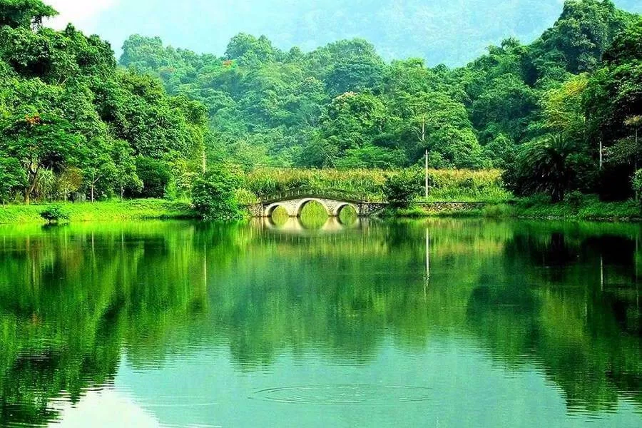 Vườn quốc gia Cúc Phương, Ninh Bình (ảnh: Internet) Vườn quốc gia Cúc Phương, Ninh Bình (ảnh: Internet)