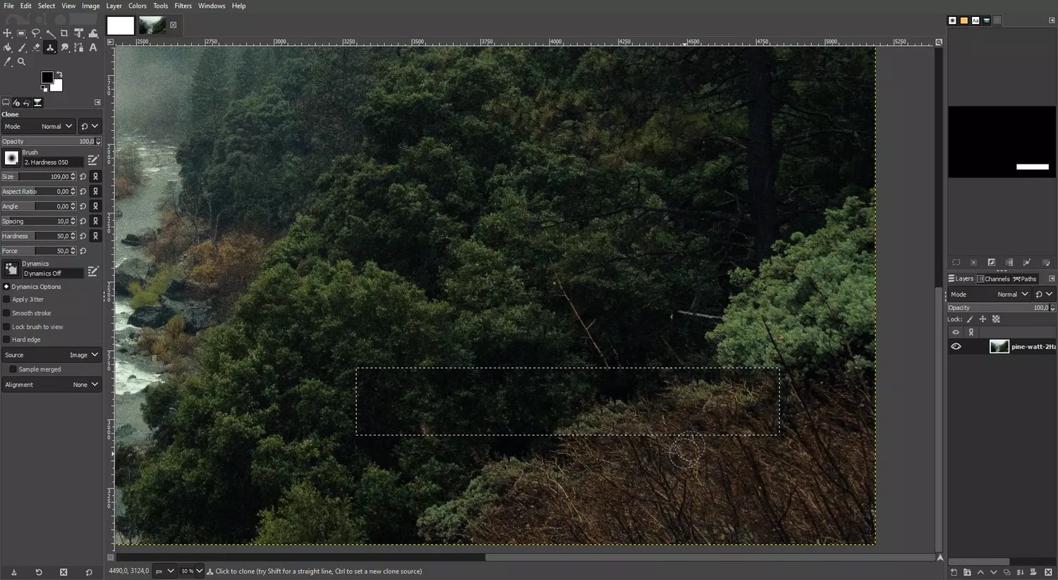 Chỉnh sửa bằng công cụ Clone (Ảnh: Internet) Chỉnh sửa bằng công cụ Clone (Ảnh: Internet)