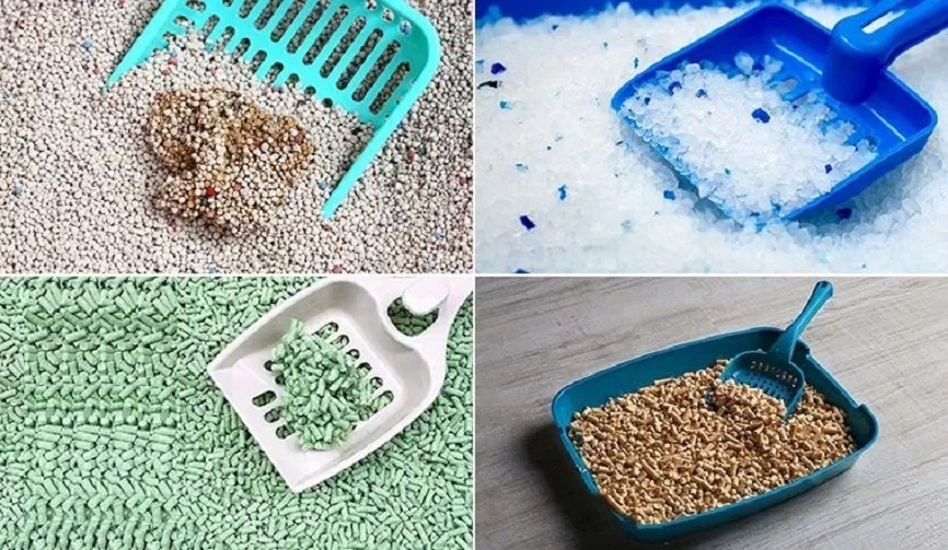 Dùng cát vệ sinh cho mèo để dọn vết bẩn dạng lỏng (Ảnh: Internet) Dùng cát vệ sinh cho mèo để dọn vết bẩn dạng lỏng (Ảnh: Internet)