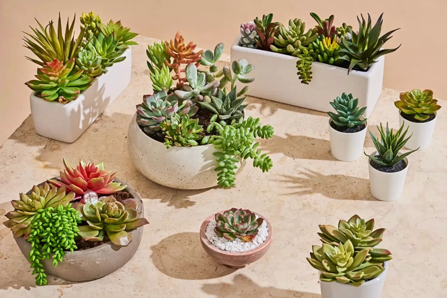 Phong thủy cây sen đá (hoa đá) tượng trưng tình yêu vĩnh cửu, mang lại may mắn tài lộc cho gia chủ (ảnh: Internet) Phong thủy cây sen đá (hoa đá) tượng trưng tình yêu vĩnh cửu, mang lại may mắn tài lộc cho gia chủ (ảnh: Internet)
