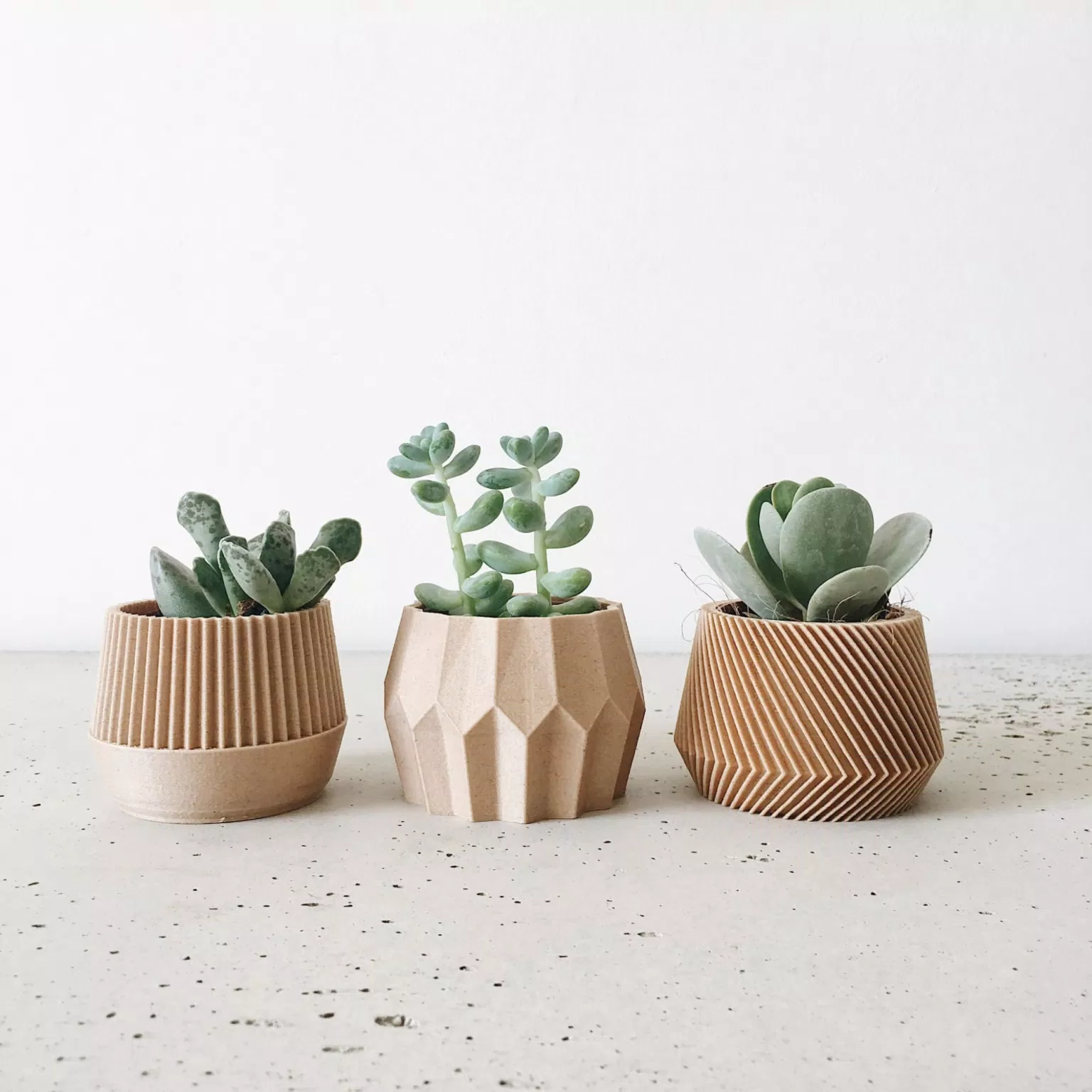 Phong thủy cây sen đá (hoa đá) tượng trưng tình yêu vĩnh cửu, mang lại may mắn tài lộc cho gia chủ (ảnh: Internet) Phong thủy cây sen đá (hoa đá) tượng trưng tình yêu vĩnh cửu, mang lại may mắn tài lộc cho gia chủ (ảnh: Internet)