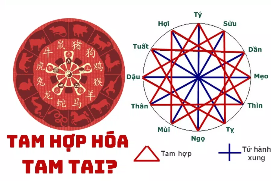 Tam tai là gì? (Ảnh: Internet)