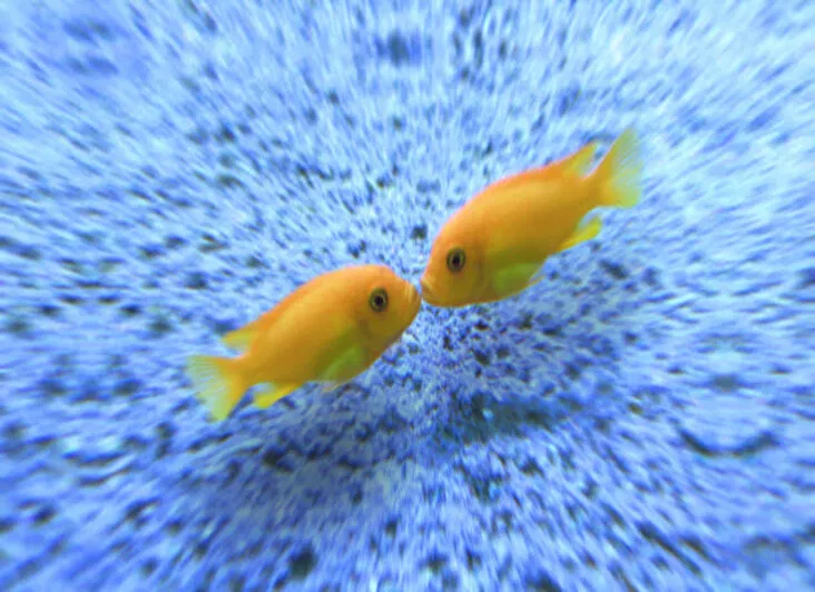 Các thói quen ăn uống này đúng là kì dị thật nhỉ? (Ảnh: Internet)