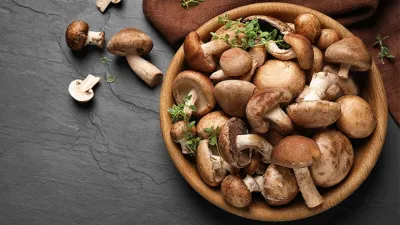 Giá trị dinh dưỡng của nấm đông cô