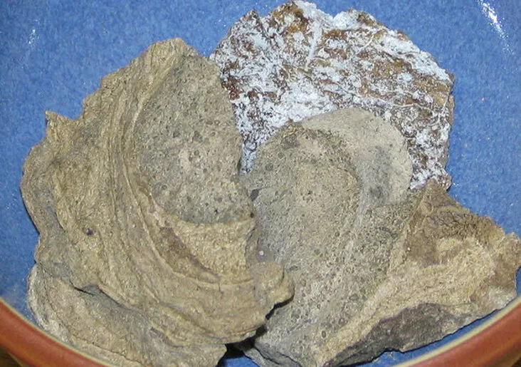 Có những món sẽ phải cần kha khá dũng khí mới dám nếm thử đấy! (Ảnh: Internet)