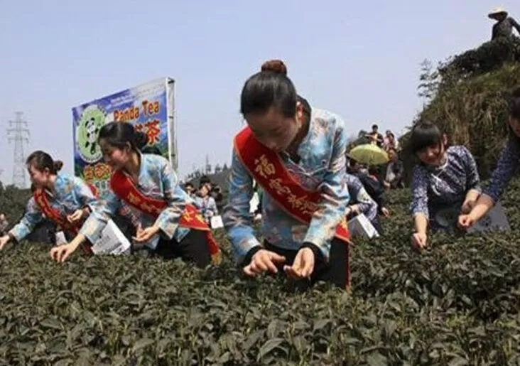 Tuy có hơi kinh dị, nhưng lại cực kì đắt! (Ảnh: Internet) Tuy có hơi kinh dị, nhưng lại cực kì đắt! (Ảnh: Internet)