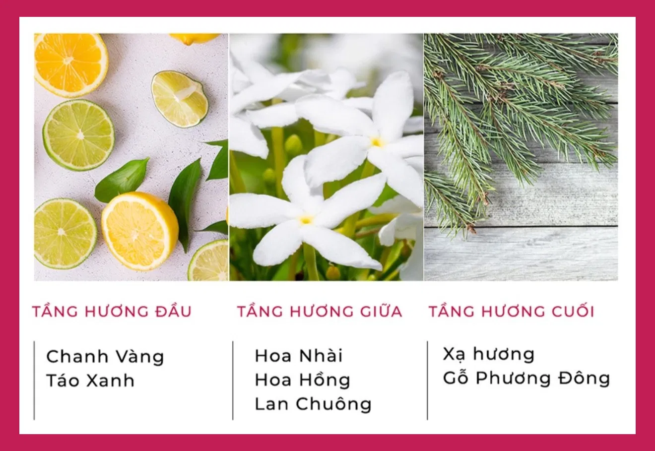 kem ủ tóc Fino Premium Touch