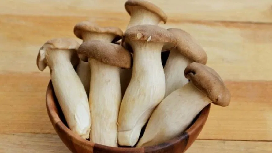 Lợi ích tuyệt vời của nấm đùi gà