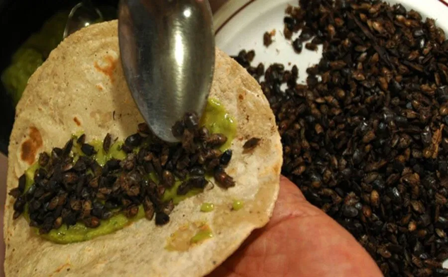 Bạn có can đảm thử những món này không? (Ảnh: Internet)