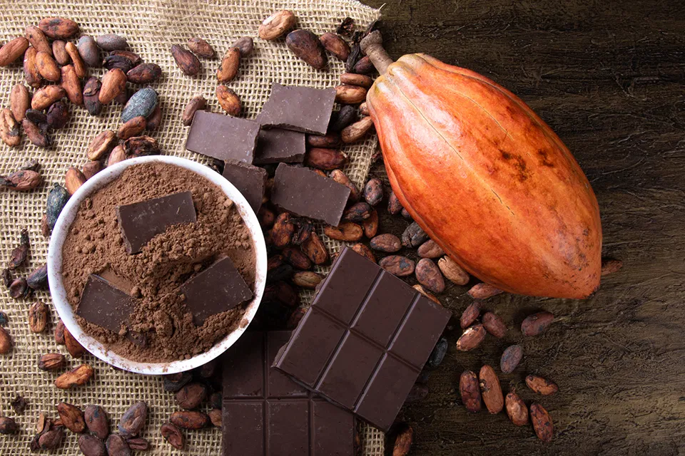 Người xưa đã sử dụng hạt cacao làm đồ uống từ rất lâu (Ảnh: Internet) Người xưa đã sử dụng hạt cacao làm đồ uống từ rất lâu (Ảnh: Internet)